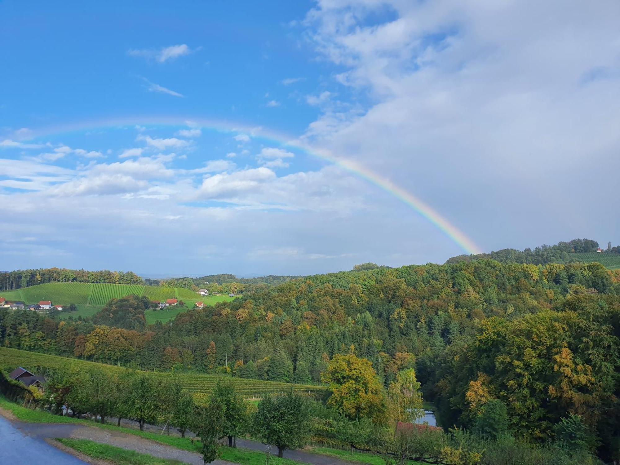 Weingut Pugl Josef Privatunterkunft