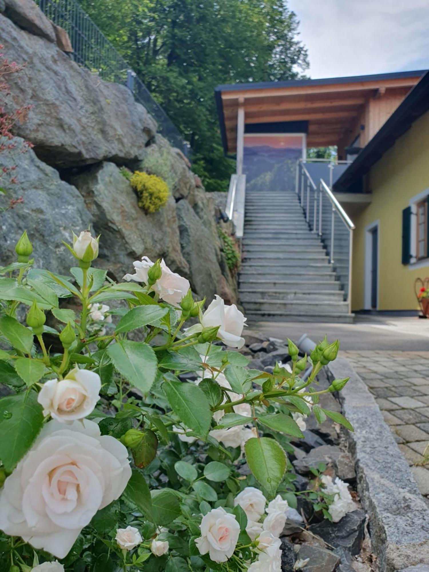 Privatunterkunft Weingut Pugl Josef Leibnitz