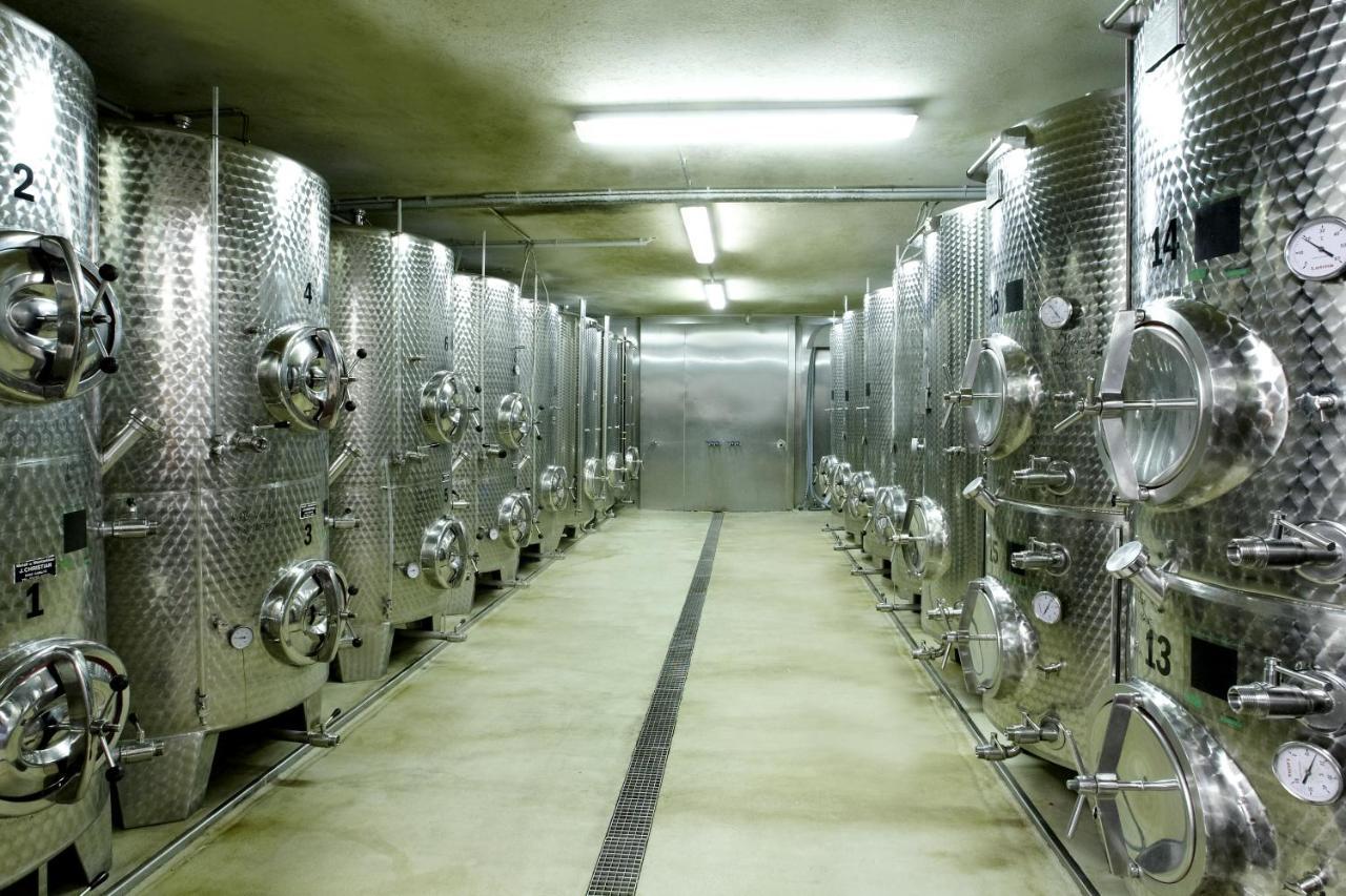 Weingut Pugl Josef Privatunterkunft