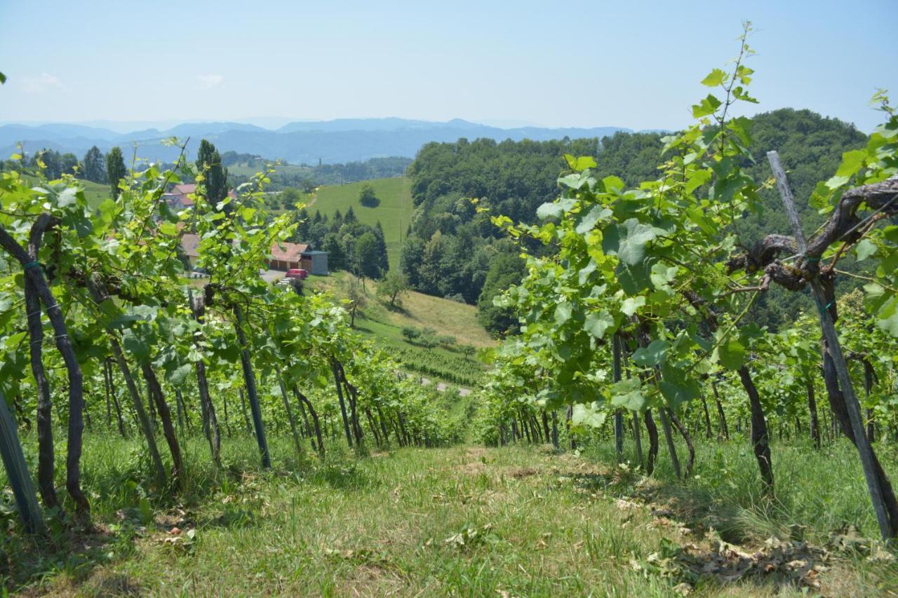 Privatunterkunft Weingut Pugl Josef Leibnitz